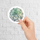 Search for watercolor succulent stickers Elegant