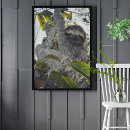 Search for three toed posters Animal