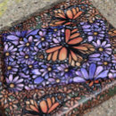 Search for monarch wrapping paper Butterflies