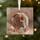 Search for cat picture christmas tree decorations Dogs