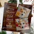 Search for forever in our hearts poem Remembrance