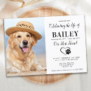 Search for dog services invitations Memorial service