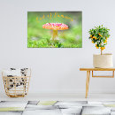 Search for toadstool posters Green
