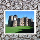 Search for northumberland postcards Souvenir