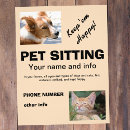 Search for pet sitting flyers Cats