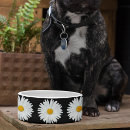 Search for black and white pet bowls Floral