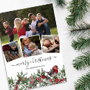 Search for winter robin christmas cards Festive