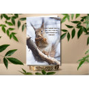 Search for squirrel with nut Wildlife