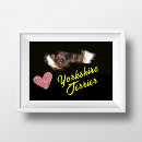 Search for yorkshire terrier posters Black