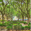 Search for charleston posters History