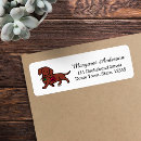 Search for hot dog return address labels Dachshund