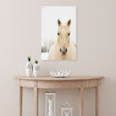 Search for head photography Horse