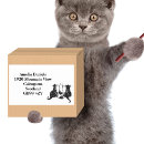 Search for cat address stickers Kitten