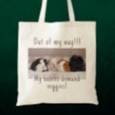 Search for pigs accessories Cavies