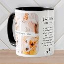 Search for in loving memory dog mugs Forever in our hearts