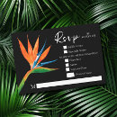 Search for bird rsvp Bird of paradise