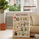 Search for vintage biology posters Botanical