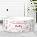 Search for name pet bowls Cats