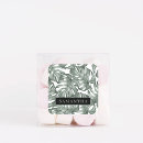 Search for oasis stickers Watercolor