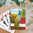 Search for peacock playing cards Bird