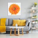 Search for gerberas posters Orange