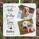 Search for elegant pet memorial ornaments Sympathy