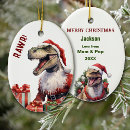 Search for dinosaur with santa christmas tree decorations Boy