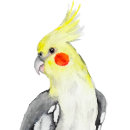 Search for tropical parrot stickers Birds