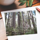Search for sunlit postcards Nature