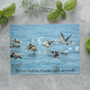 Search for waterfowl invitations Animals