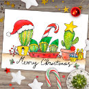Search for indoor postcards Cactus