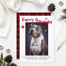 Search for furry and bright christmas cards Dog