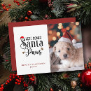 Search for paws christmas cards Minimalist
