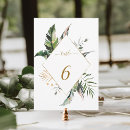 Search for table numbers wedding invitations Modern