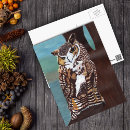 Search for acryl postcards Brown