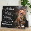 Search for pet portraits Sympathy quote