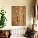 Search for tree trunk posters Wild life