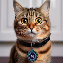 Search for checked pet supplies Scottish