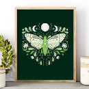 Search for moth posters Illustration