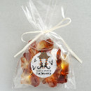 Search for house fly stickers Witch