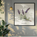 Search for herbals posters For her