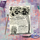 Search for seed tissue paper Antique