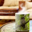 Search for barred owl mugs Strix varia