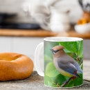 Search for waxwing mugs Nature