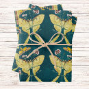 Search for luna gift wrap Wings