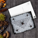 Search for widows postcards Spider