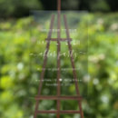 Search for happily ever after wedding signs Chic