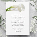 Search for white lily Elegant