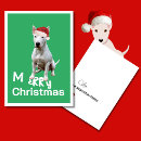 Search for bull terrier christmas cards Pets