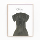 Search for dane posters Black great dane